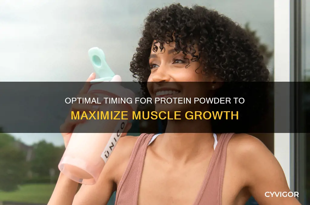 when to take protein powder for muscle gain