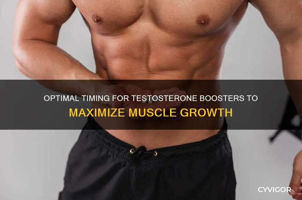 when to take testosterone booster for muscle gain