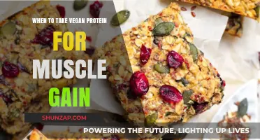 Optimal Timing for Vegan Protein Intake to Maximize Muscle Growth