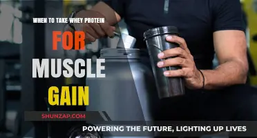 Optimal Timing for Whey Protein Intake to Maximize Muscle Growth