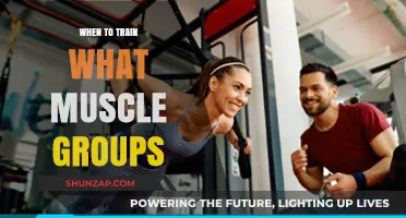 Optimal Muscle Group Training Schedule for Strength and Recovery