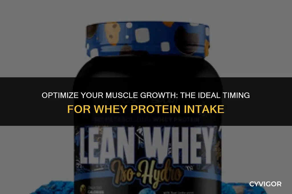 when to use whey protein to build muscle