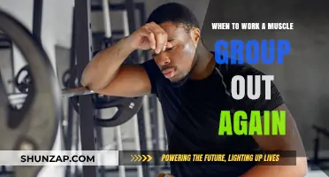 Optimal Muscle Recovery: Timing Your Next Workout for Maximum Gains