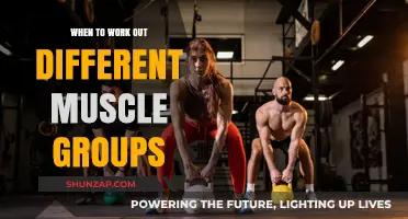 Optimal Muscle Group Workout Timing for Effective Strength Training