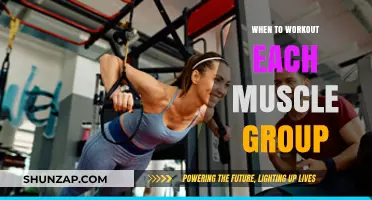 Optimal Muscle Group Workout Timing for Effective Strength Training Results