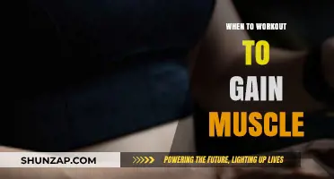 Optimal Workout Timing for Muscle Growth: Maximize Gains Effectively