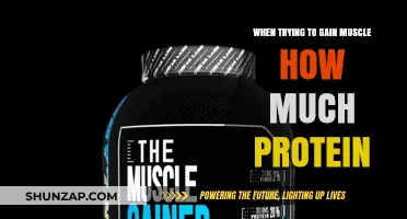 Optimal Protein Intake for Muscle Gain: How Much Do You Need?