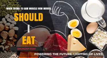 Fuel Your Muscle Growth: Optimal Eating for Strength and Size