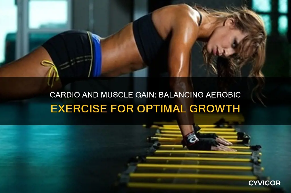 when trying to gain muscle should i do cardio