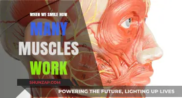 The Surprising Number of Muscles Activated by a Simple Smile