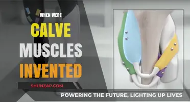 The Evolution of Calf Muscles: A Historical Perspective