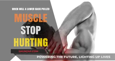 Pulled Lower Back Muscle Pain: How Long Until Relief Arrives?