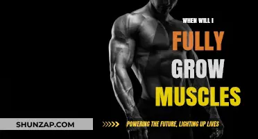 When Will I Fully Grow Muscles: Understanding Muscle Growth Timeline