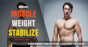 Understanding Muscle Weight Stabilization