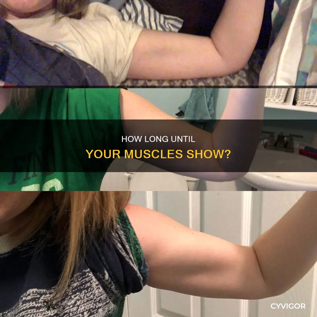 when will muscles show