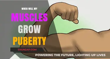 Muscle Growth During Puberty: When Will You See Results?