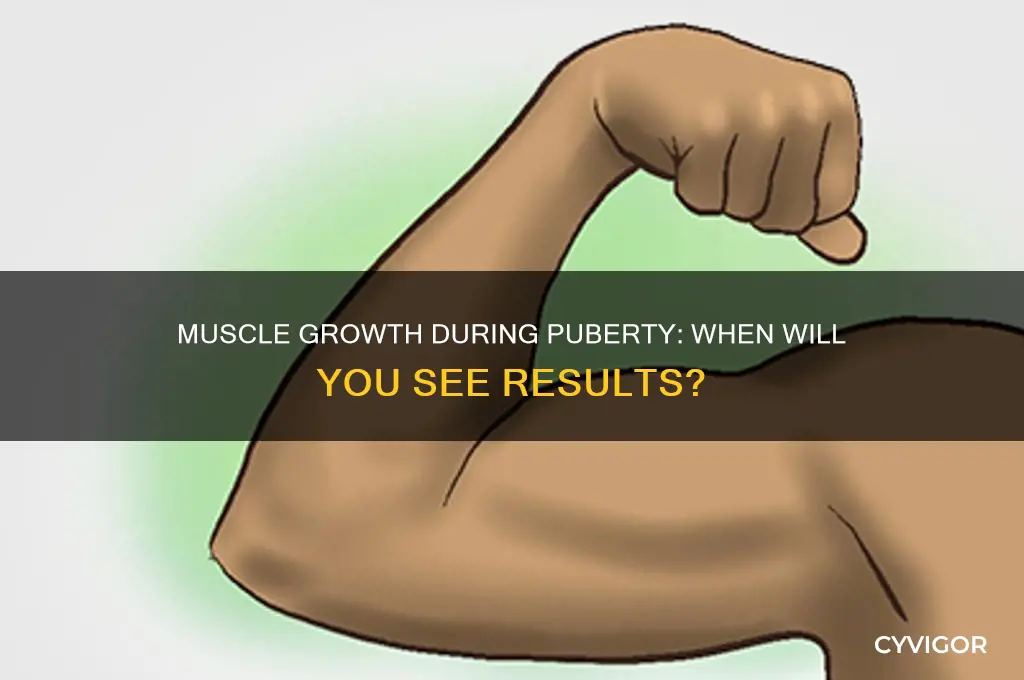 when will my muscles grow puberty