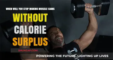 Muscle Gains Without Surplus: When Does Progress Plateau?