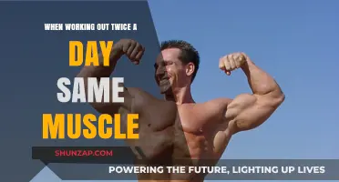 Double Workouts: Is Training the Same Muscle Twice Daily Safe?