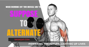 Alternating Muscle Groups: Maximizing Workouts for Optimal Strength and Recovery