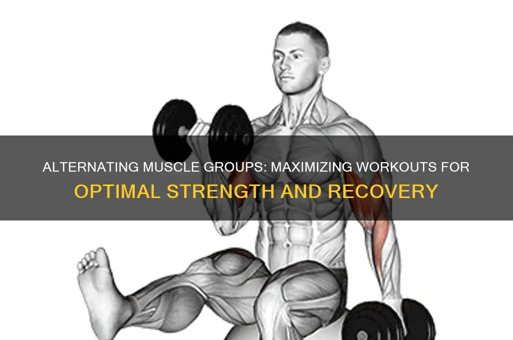 when working out two muscle are you suppose to alternate