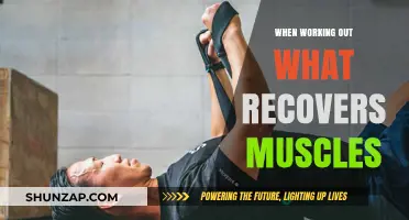 Effective Muscle Recovery Techniques for Optimal Post-Workout Results
