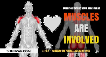 Muscles Engaged When Extending Arms: A Comprehensive Breakdown