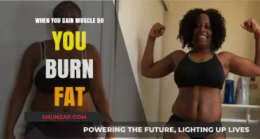 Muscle Gain and Fat Loss: How They Work Together