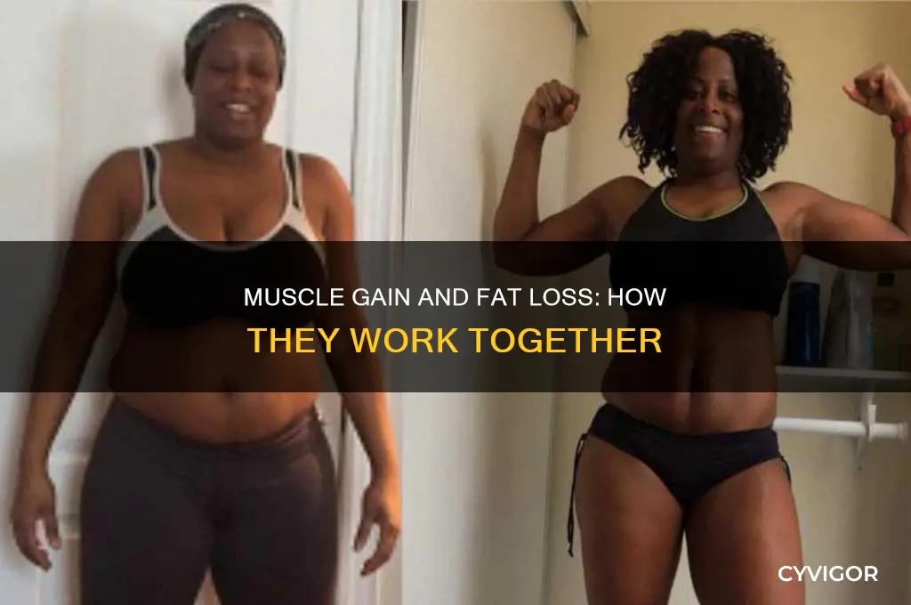 when you gain muscle do you burn fat