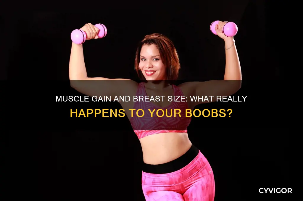 when you gain muscle do you lose your boobs