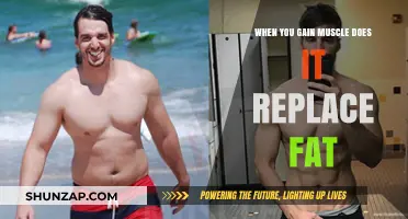 Muscle Gain vs. Fat Loss: Does Muscle Replace Fat?