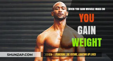 Muscle Mass and Weight Gain: Understanding the Connection and Impact