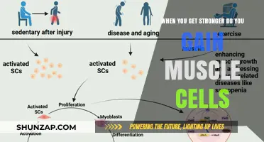 Does Strength Training Increase Muscle Cell Count? The Science Explained