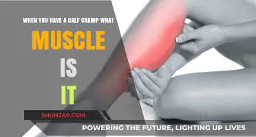 Unraveling the Mystery: Which Muscle Causes Calf Cramps?
