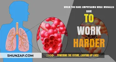 Emphysema's Impact: Which Muscles Work Harder to Help You Breathe?