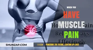 Understanding and Relieving Muscle Pain: Causes, Remedies, and Prevention Tips