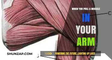 Pulled Arm Muscle: Causes, Symptoms, and Effective Recovery Tips