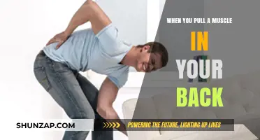 Pulled Back Muscle: Causes, Symptoms, and Effective Recovery Tips