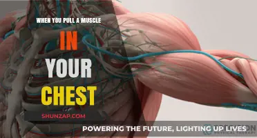 Pulled Chest Muscle: Causes, Symptoms, and Effective Recovery Tips