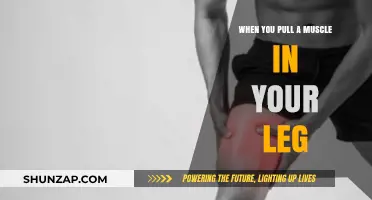 Pulled Leg Muscle: Causes, Symptoms, and Effective Recovery Strategies