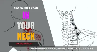 Neck Muscle Strain: Causes, Symptoms, and Quick Recovery Tips
