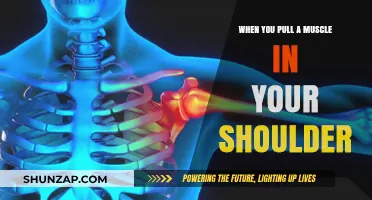 Pulled Shoulder Muscle: Causes, Symptoms, and Effective Recovery Tips