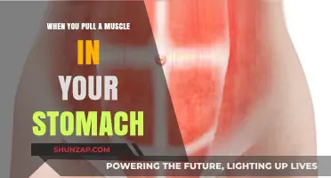 Pulled Stomach Muscle: Causes, Symptoms, and Effective Recovery Tips