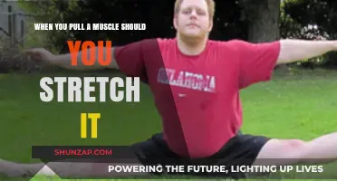 Should You Stretch a Pulled Muscle? Expert Advice for Recovery