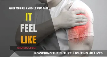 Pulling a Muscle: Understanding the Pain, Sensations, and Recovery Process