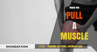 Understanding Pulled Muscles: Causes, Symptoms, and Effective Recovery Tips
