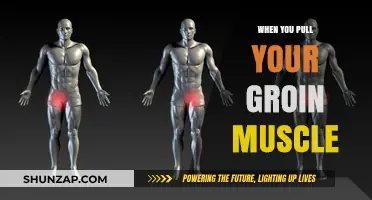 Pulled Groin Muscle: Causes, Symptoms, and Effective Recovery Strategies