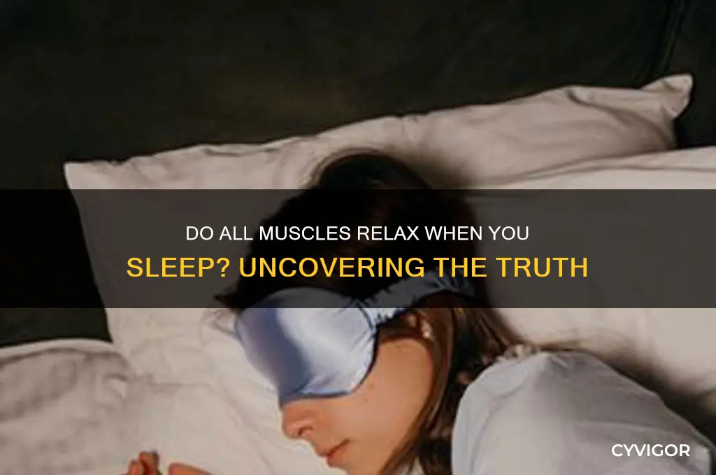 when you sleep do all your muscles relax