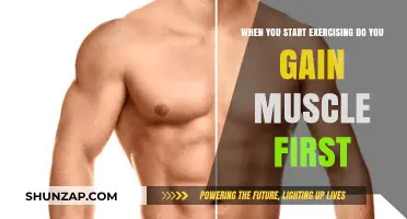 Muscle Gain Timeline: What Happens When You Start Exercising?