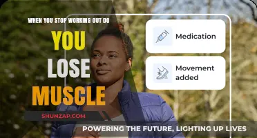 Muscle Loss After Stopping Workouts: What Really Happens to Your Body